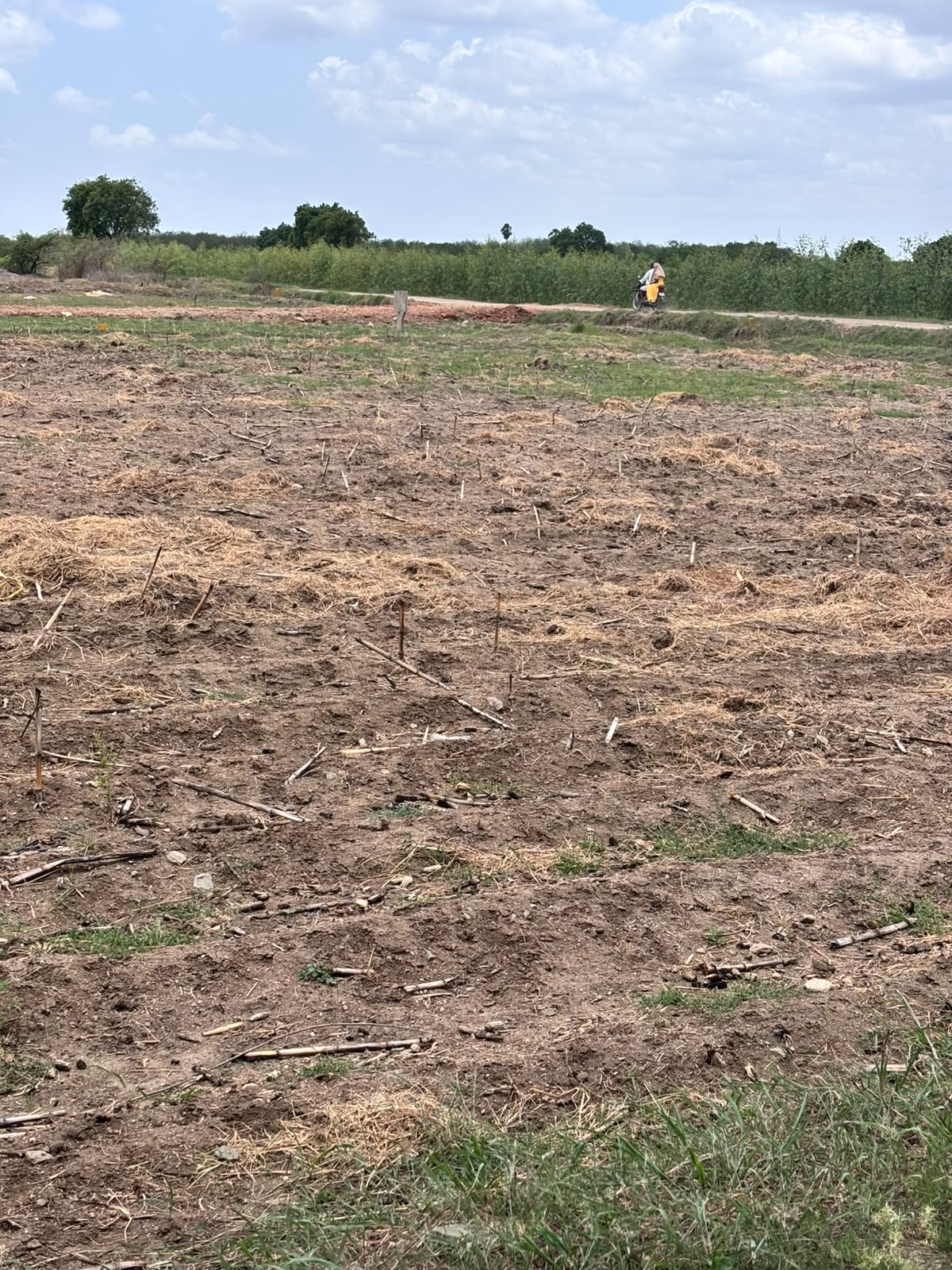 Site photograph 3
