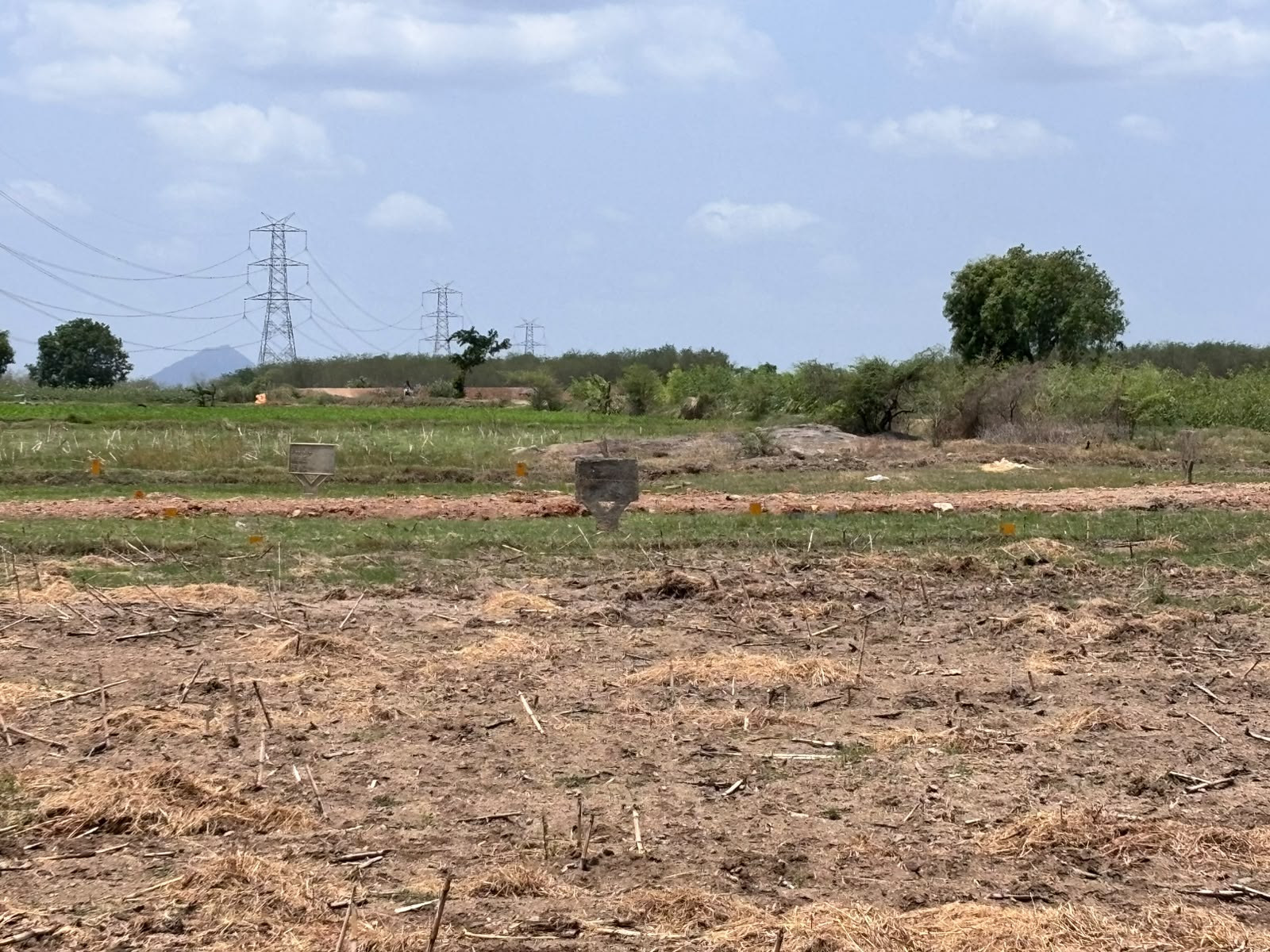 Site photograph 4